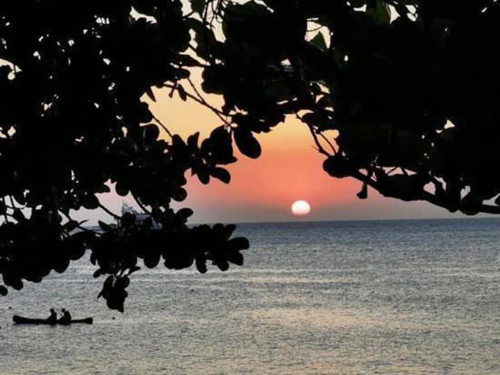 Suite Pe Na Areia- Espaco Independente Na Praia Do Curral Com Localizacao Privilegiada - Simplicidade E Comodidade Com O Por Do Sol Mais Lindo De Ilhabela - Melhor Custo Beneficio Para Ate 4 Pessoas , Na Av Jose Pacheco Do Nascimento Nº 7682 Eksteriør billede